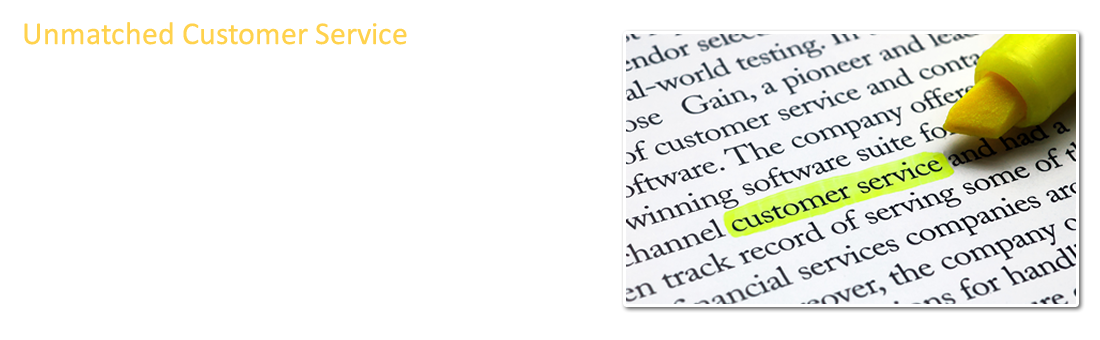Unmatched Excellent Customer Service for your Websites